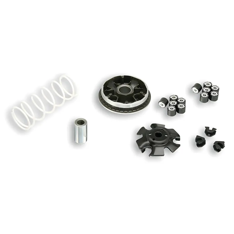 Top-Preis Variomatik Malossi Multivar 2000 für Honda NSS 250 Forza EX, X