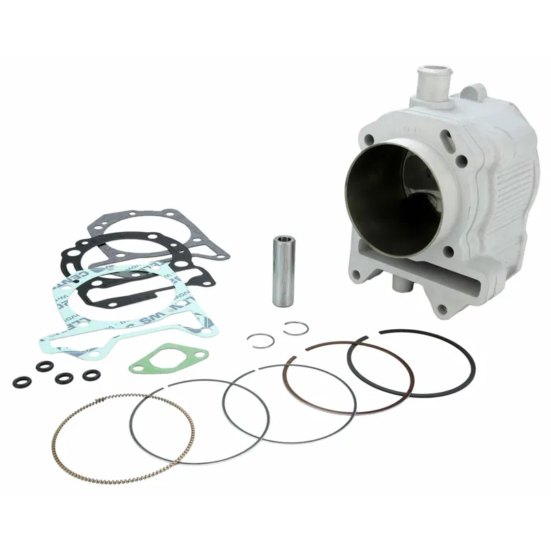 Zylinderkit Malossi Sport 282ccm für Piaggio 300 ie 4T LC Motor Rabatt