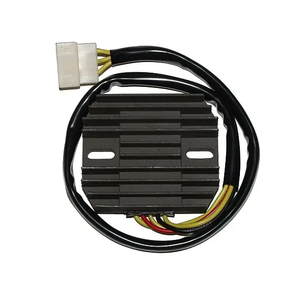 ElectroSport Laderegler ESR 266 Sonderaktion
