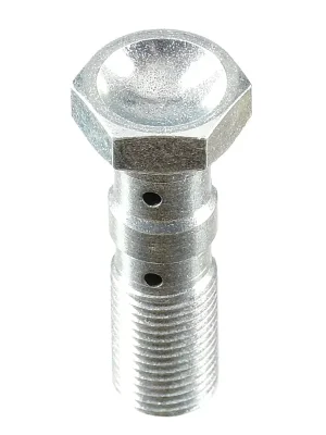 Markenprodukt TRW Hohlschraube Edelstahl M10x1,00