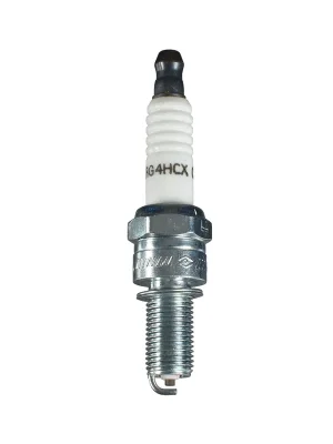 Champion Zündkerze RG4HCX Knallerangebot
