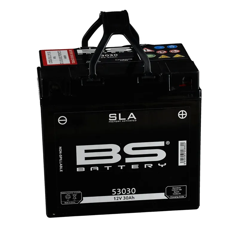 Nur Heute BS Batterie 12V 30AH 53030 GEL