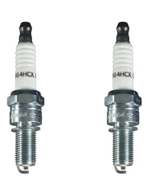 Champion Zündkerze RG4HCX 2er Set Schneller Versand
