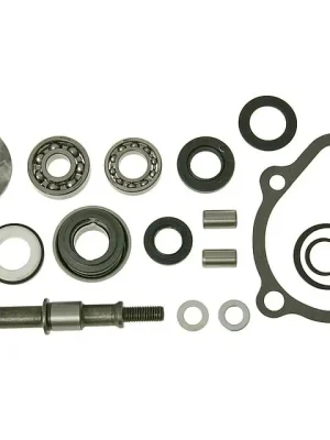 Aktuell Reparaturkit Wasserpumpe Kymco Grand Dink Maxxer MXU KXR 250 300 LC