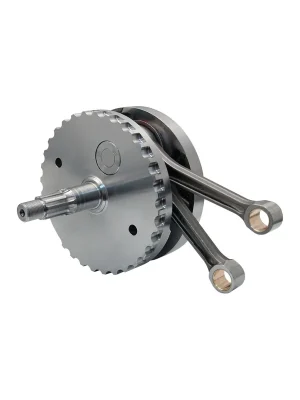 Expressversand S&S Ersatz-Schwungradeinheit o. Lagerlauf f. Harley FLHR TC A 99-06