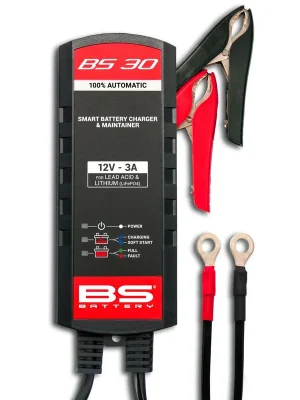 Billig BS Battery Ladegerät Smart 12V bis 60Ah LiFePO4 Blei-Säure