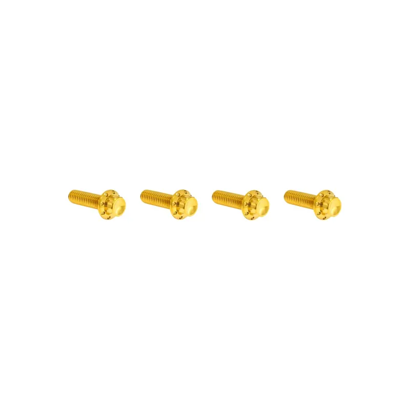 Arlen Ness Getriebedeckel oben Schraubensatz 12-Punkt gold B Begrenztes Angebot